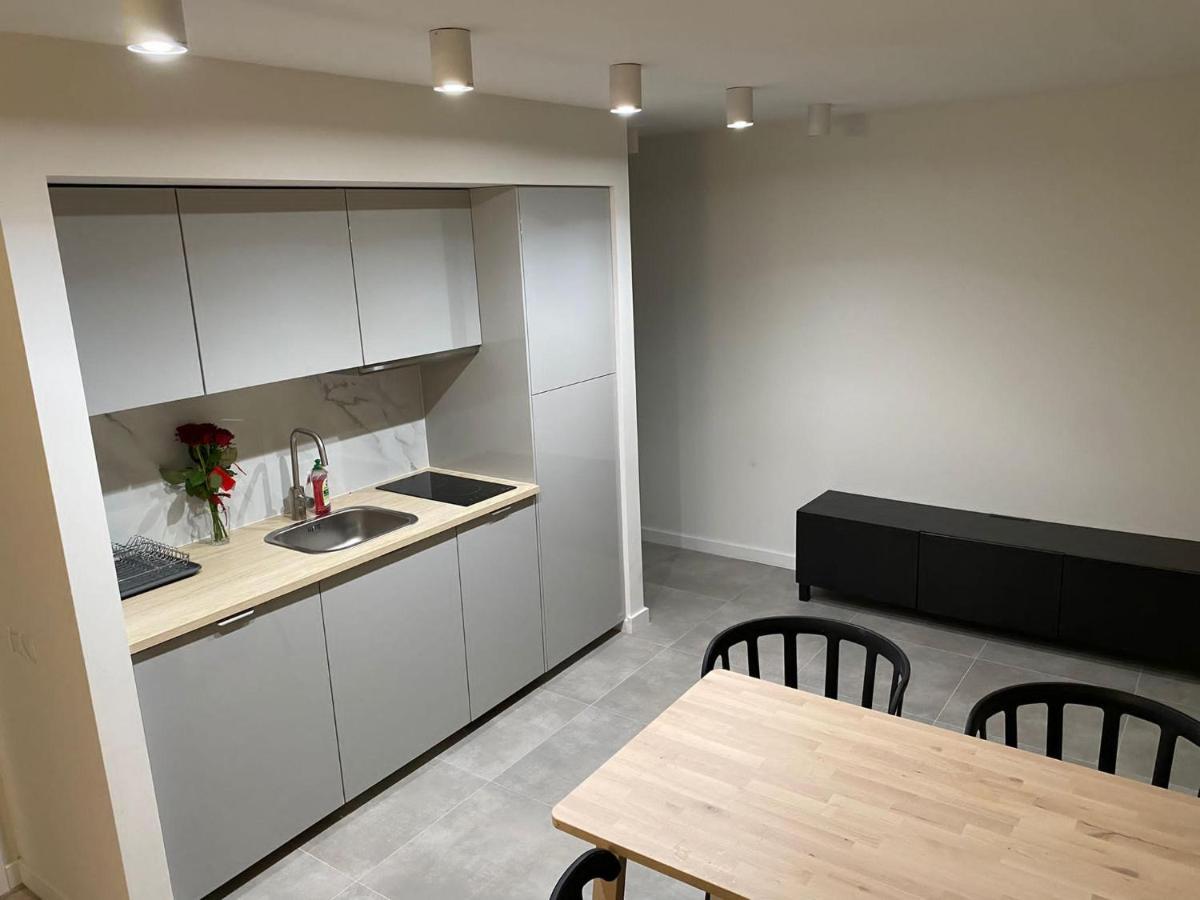 V3 Korfantego 20 Apartment Katowice Bagian luar foto